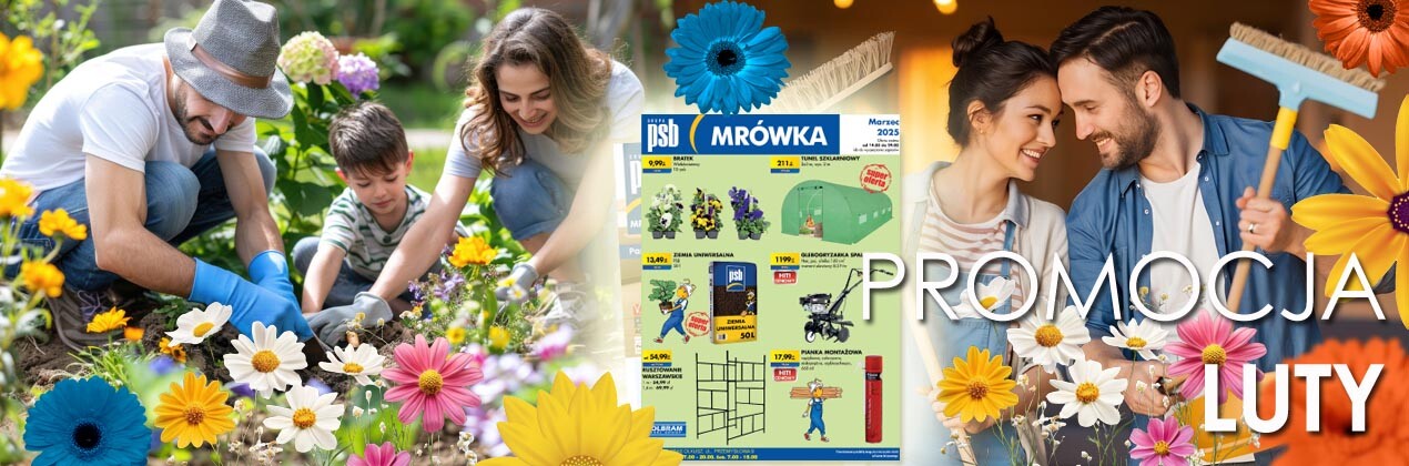 zdjęcie na stronie głównej